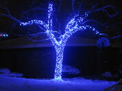 Transform Your Landscape into a Glowing Holiday Wonderland