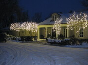 Why Choosing an Established Christmas Light Installation Company Matters