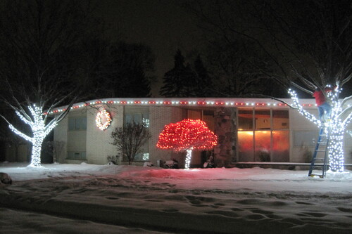 Commercial Christmas Light Installation Novi