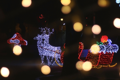 Xmas Delights professional Christmas light installers set up exterior and interior lights for Ann Arbor home owners