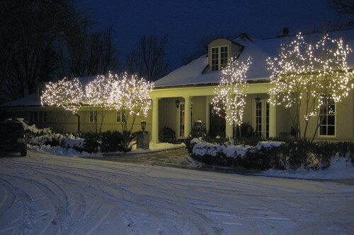 Christmas lights installed on Ann Arbor resident's home by Xmas Delights lighting up a night scene surrounded by snow.